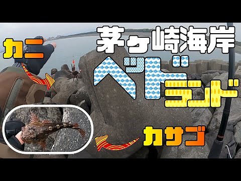 茅ヶ崎海岸 ヘッドランド 穴釣り