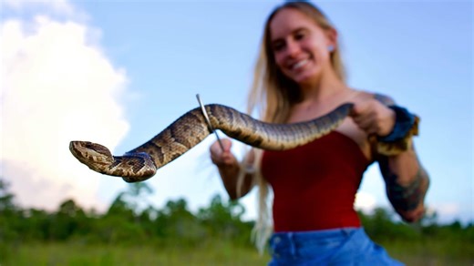 Burmese python blood may point to a new weight loss treatment