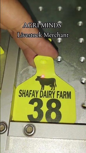 Cattle Z-Tags 🐄🔖 | Premium Animal Identification for Dairy & Livestock Farms!Weather-proof