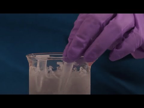 Transforming Competent Cells