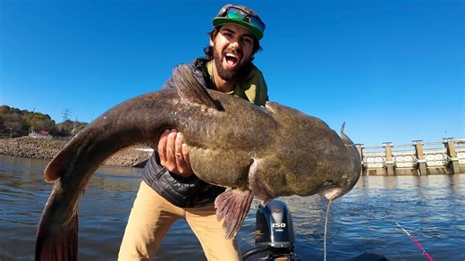 Monster catfish caught at spillway, largest of year