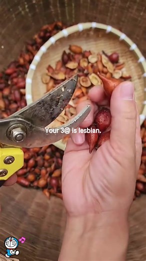 Discover the Most Amazing Fruits to Refresh Your Day