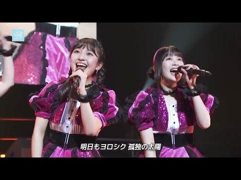 Cut／ハロ！ステ #460／オンリーロンリー／BEYOOOOONDS／LIVE映像