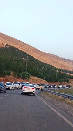 White Vehicles Driving in Scenic Mountain Landscape