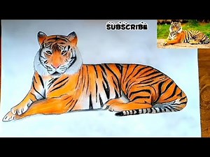How to draw a tiger Step by step| Tiger Pencil Drawing | How to draw a tiger | Drawing