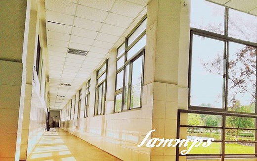 mpich在Windows上的安装