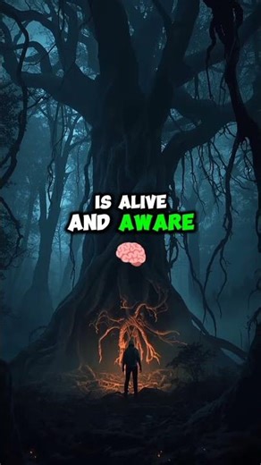 “The Forest That Hunts You | Creepy & Terrifying Nature”