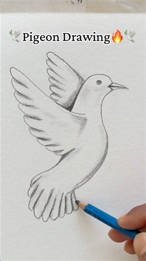 Learn Pigeon 🕊️ Drawing for kids #bhoot #ytshorts #drawing #drawingtutorial #youtubeshorts