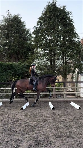 Gymnastic Training for Equestrians