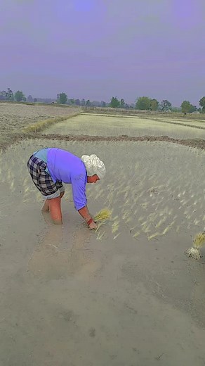 lagaibu biyar xatari orke xupuk xupuk##😍😍😍❤️🥰🌹🥰 #@Anjan chaudhary ##@Gazzraj Sarvan ##@aasu💓❣️♥️🥀