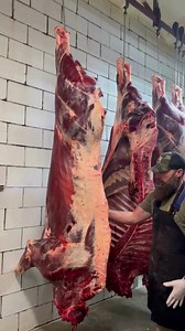 475K views · 2.9K reactions | Breaking down a whole Bison.  #reels #reelsfb #butcher #butchering #thebeardedbutchers #bison #buffalo #meat | The Bearded Butchers | Facebook