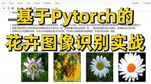 研究生毕设有救了！基于深度学习Pytorch框架的花卉图像识别模型实战，原理详解+项目实战，看完就能跑通！深度学习/PyTorch/人工智能