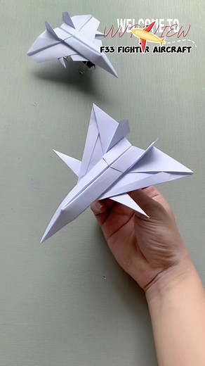 F33 Fighter Aircraft - Aviation Overview