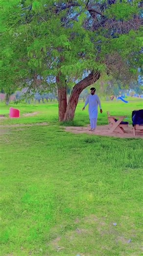 #creatorsearchinsights #madina #muhammad #saudiarabia🇸🇦 #View @Haya khan🇬🇧❤️💫 @▄︻デSheren 𝐁𝐫𝐚𝐧𝐝 .══━ 🦅 @Zahidarmanptitiger🥰 @saraktk_313 @MANO KTK ❤🦋 @King_302 @Jehanxeb