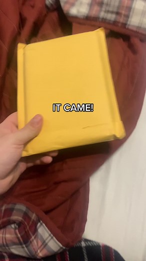 Expanding My GameCube Library with Sonic Adventure DX