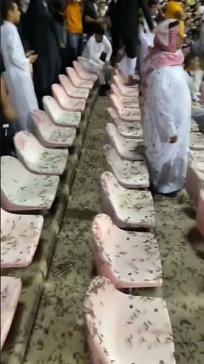 Massive Locust Plague Hits Mecca: Kong Abdul Aziz Stadium Devastated (09.02.2023)