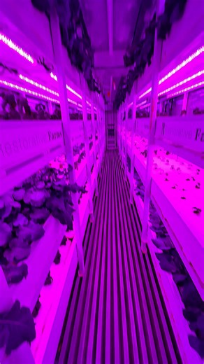 2.7K views · 31 reactions | Indoor Aquaponic Grow System at Big Tex Urban Farm at the State Fair of Texas! | Texas Garden Guy | Facebook