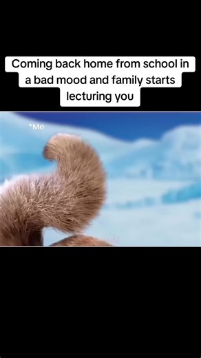 Homework / Assignment Helper on TikTok