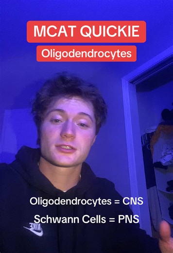 Oligodendrocytes vs Schwann Cells #mcat #mcatprep #premed #stem #biology