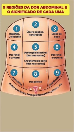 🔥 9 REGIÕES DA DOR ABDOMINAL E O QUE ELAS PODEM INDICAR! ⚠️ leia a descrição