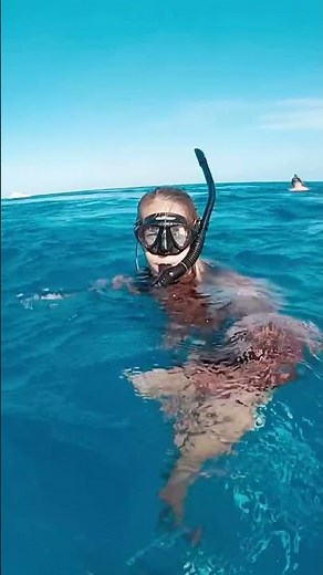 Britt acting real SUSSY while I'm saving a Turtle! #shorts