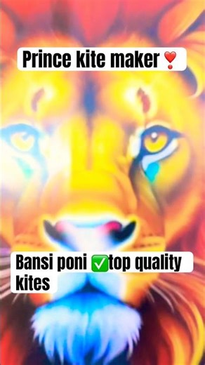 Patang #kites #kiteflying #shorts #patang #amritsar