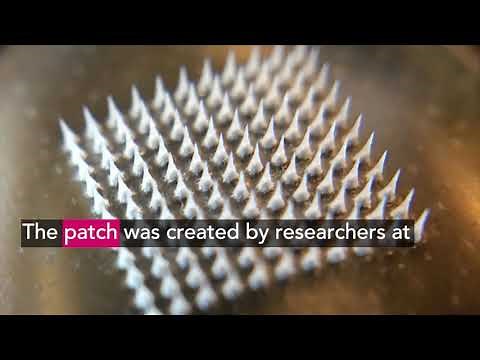 Magnetic Slimming Patch in Weight Loss. A Scientific Explanation