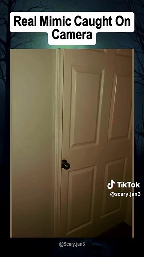 Real Mimic Caught On Camera Part 1 #mimic #paranormal #paranormalvideos #scarytiktok #scaryvideo #scary_stories #hauntedtiktok #skinwalker #creepyvibes