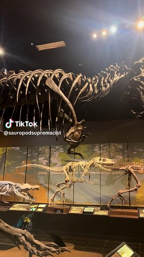 Discover the Fascinating World of Dinosaurs at Tellus Museum