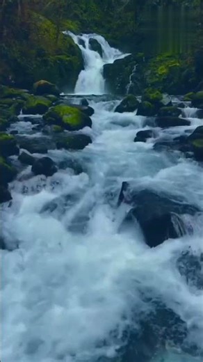 Saaf Paani Ki Taakath 💦💪 || #amazonriver #shorts
