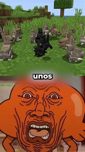 La bolsa finalmente llegó