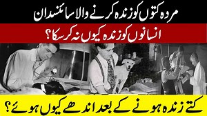 2.5K views · 185 reactions | Scientist Brings Dead Dogs Back to Life | Scientist Brings Dead Dogs Back to Life | Townlife | Facebook