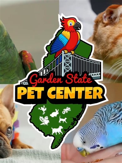 🐾 Welcome to Garden State Pet Center! 🐾 Looking for the BEST pet store experience? 🐕🐦🦎 We’ve got everything you need—from premium pet food to exotic pets, toys, and top-notch supplies! ✨ Why Choose Garden State Pet Center? ✔ Unique pets like parrots, reptiles, and small mammals ✔ Expert advice from a Certified Pet Nutritionist ✔ Exclusive brands like Open Farm, Nulo, and more ✔ Services: Grooming, boarding, DNA testing & FREE delivery (10-mile radius)! 🌟 We’re not just a pet store—we’re a 