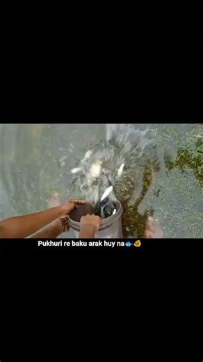 jharna kan ___ new santhali video 🐟🐠