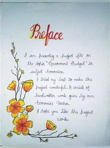 Government Budget Project|Class 12|Economics Project|