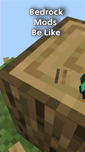 POV: Your Friend Installs “Just a Few Mods”