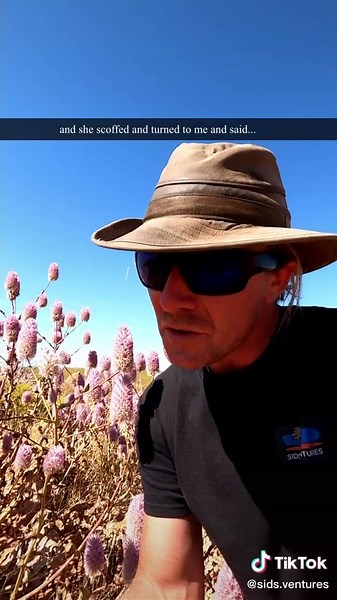 Pink Mulla Mulla: A Hawaiian Flower with a Lilac Hue