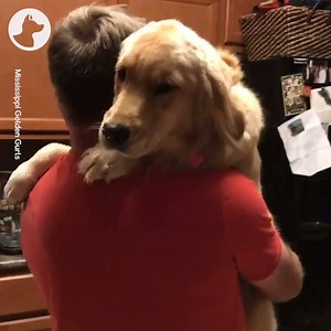 36K views · 3.8K reactions | Daddy and daughter dance time  | Go Fetch | Facebook