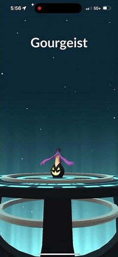 Evolving Shiny Large Size Pumpkaboo Into Shiny Large Size Gourgeist In Pokémon Go