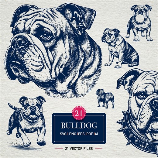 Bulldog Vector Bundle Vintage Bulldog Engraving SVG PNG Eps Dog Illustration Clipart French Tattoo Logo Design - Etsy Canada