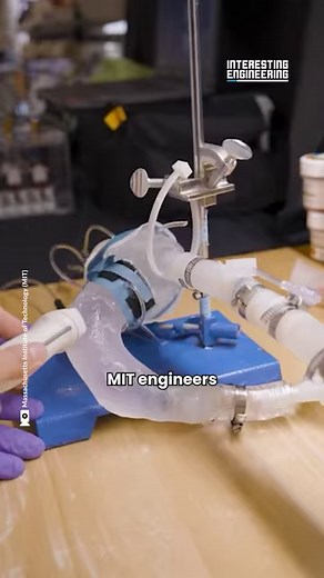 MIT engineers hope to help doctors tailor treatment to a patient's specific heart shape and function with a customized robotic heart. | Interesting Engineering