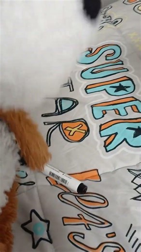 colab con: MT_XZ8 #humor #perrosalchicha #gordobachicha #yosoydelos7mil #perros