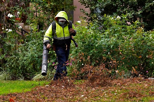 Lower Merion is banning gas-powered leaf blowers. Good idea? - WHYY