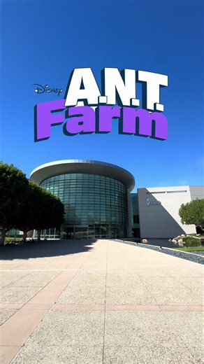 Exploring Disney Channel's Ant Farm