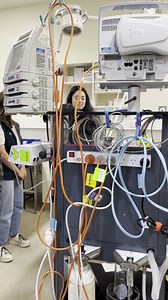 438 reactions · 24 shares | There’s a lot to love about studying veterinary medicine  Our students share their favourite things about studying, from learning clinical skills to making friends! Learn more about our Doctor of Veterinary Medicine → unimelb.me/41zAVz0 | The University of Melbourne | Facebook