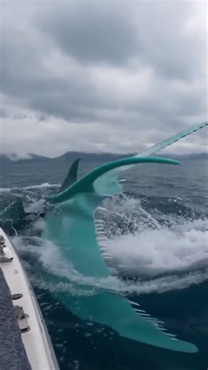 745K views · 9.4K reactions | What a scary movement, Camera Record ,...