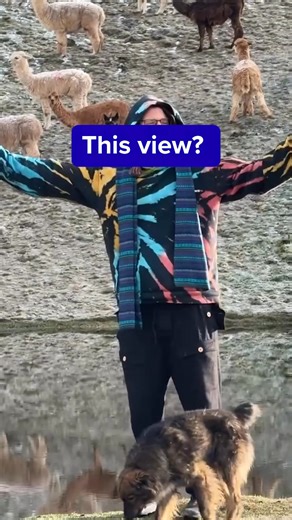 A third of your life will be spent on sleep... What if you could make money while you do it? Here’s how Tim Sykes uses that time to set up trades for the next day… | Timothy Sykes