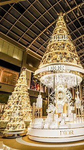 Dior Beauty Official on Instagram: "Dive into Dior’s enchanting holiday world at the heart of Marina Bay Sands in Singapore. Nestled proudly at the heart of the mall, an impressive installation brings to life the Dior Carousel of Dreams and its Dior icons, along with its majestic 11-meter gilded tree crowned with the iconic star. @WalterTan @AssemblyClan #DiorBeauty #DiorHoliday #DreamInDior"