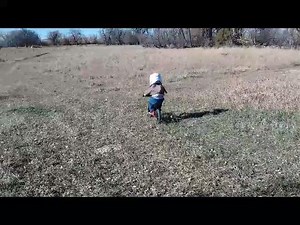 4.9K views · 92 reactions | On a scale of 1 to 10 this is like... elevendy. Congrats to our 1st Place Video Contest winner for November! | Strider Bikes | Facebook