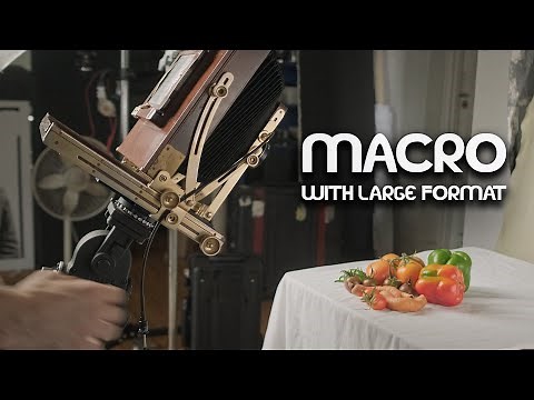 Macro Photography with 4x5 and 8x10 - Large Format Friday